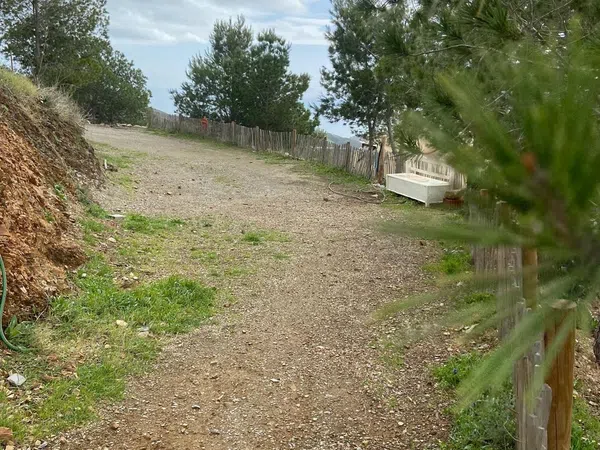 Casa rural en Rambla del acebuchal s/n - Foto 31