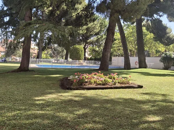 Chalet adosado en Paseo de los Ruiseñores, 38, Ruiseñores - Foto 4