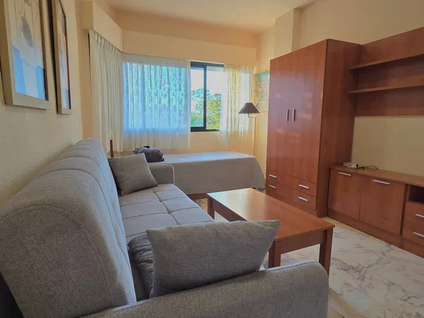 Estudio en calle Administrador Gutierrez Anaya, 2 - Foto 3