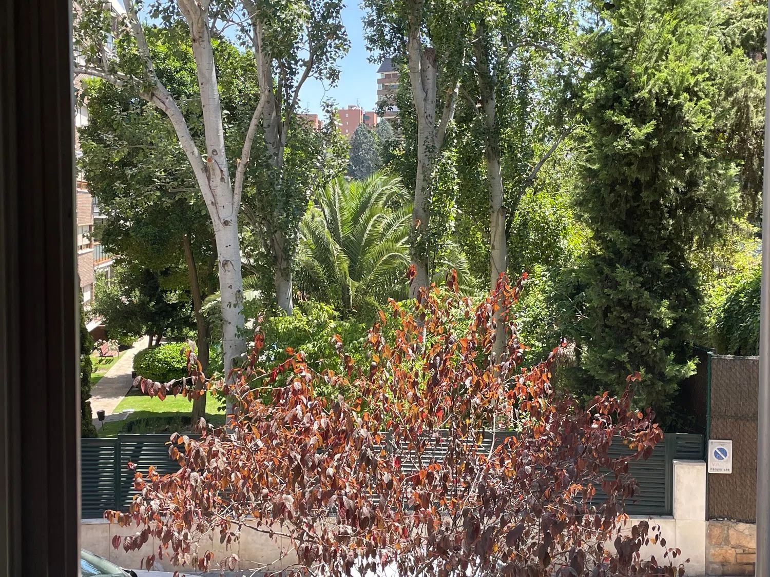 Piso en Barrio Ciudad Universitaria - Foto 21