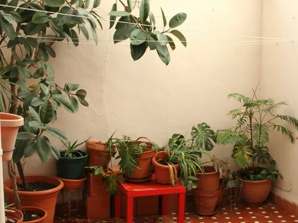 Piso en Calle José Javier, 5, Santa María de Gracia - Foto 16