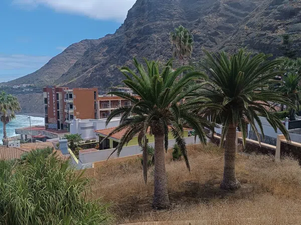 Casa o chalet independiente en Bajamar-Punta del Hidalgo, Bajamar-Punta del Hidalgo - Foto 21