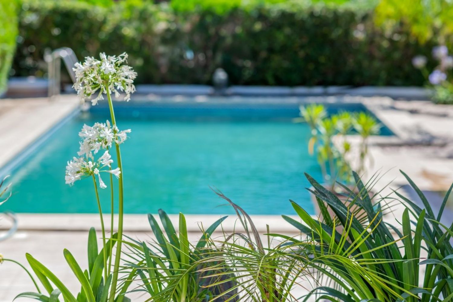 Casa independiente en calle Germans Moncada, 30 - Foto 2