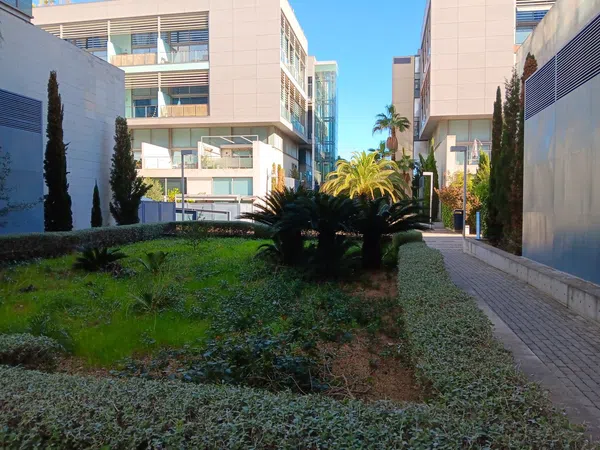 Piso en calle Cruz Roja, 1 - Foto 1