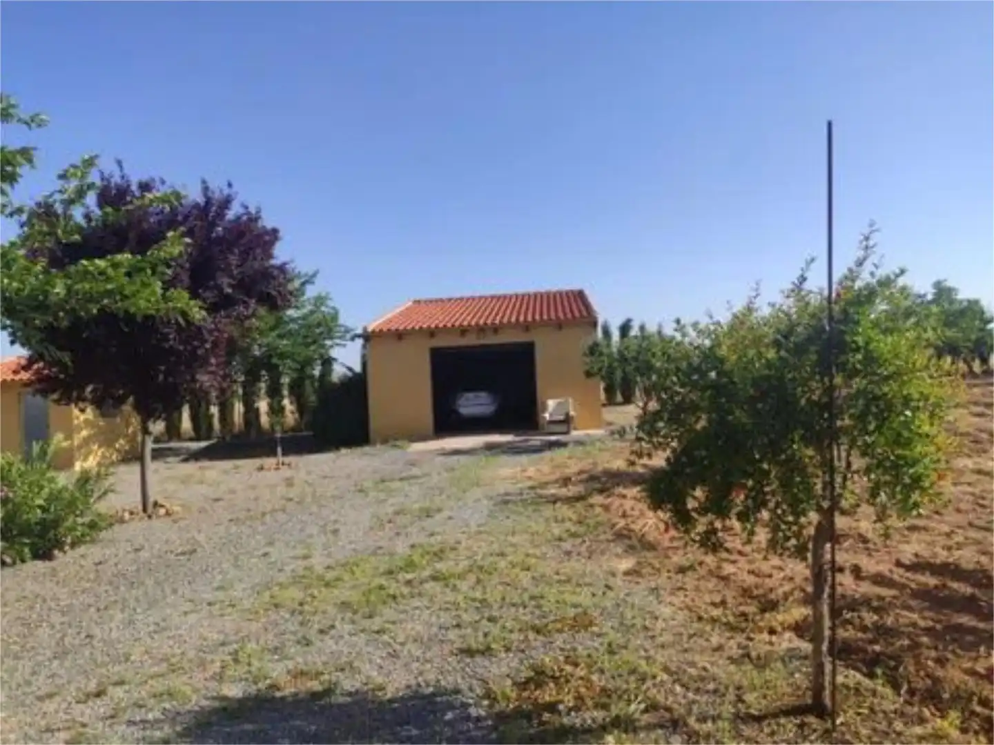 Finca rústica en  Calle Urda 100 - Foto 10