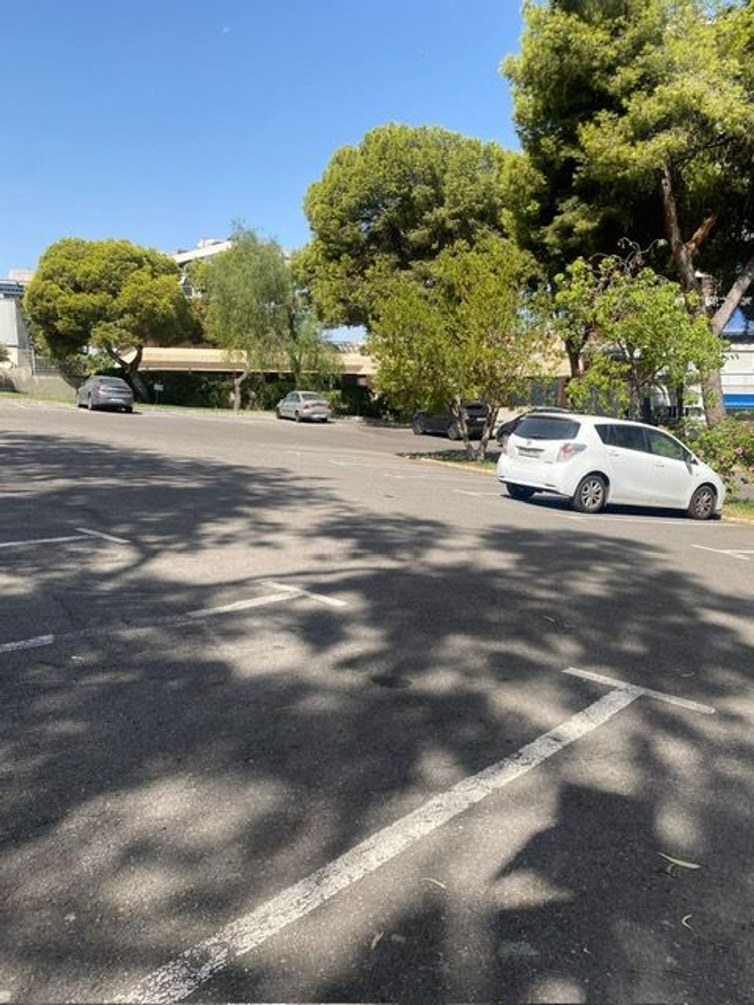 Piso en Avenida de les Nacions, 11, Playa de San Juan - Foto 26
