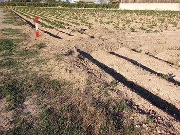 Finca rústica en  Carril de los Murcia 5 - Foto 14