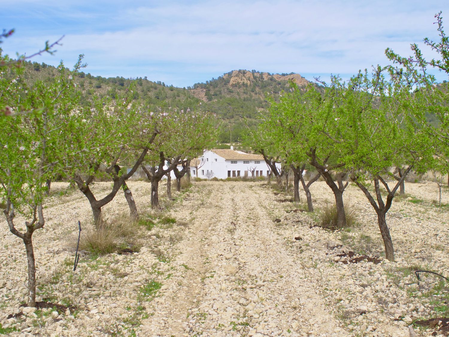 Casa independiente en Partida Almadrava, 1 - Foto 34