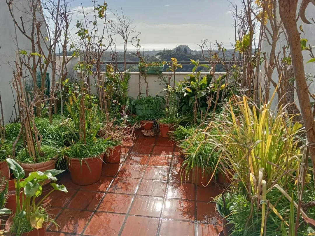 Piso en  Calle Sidney 2 - Foto 14