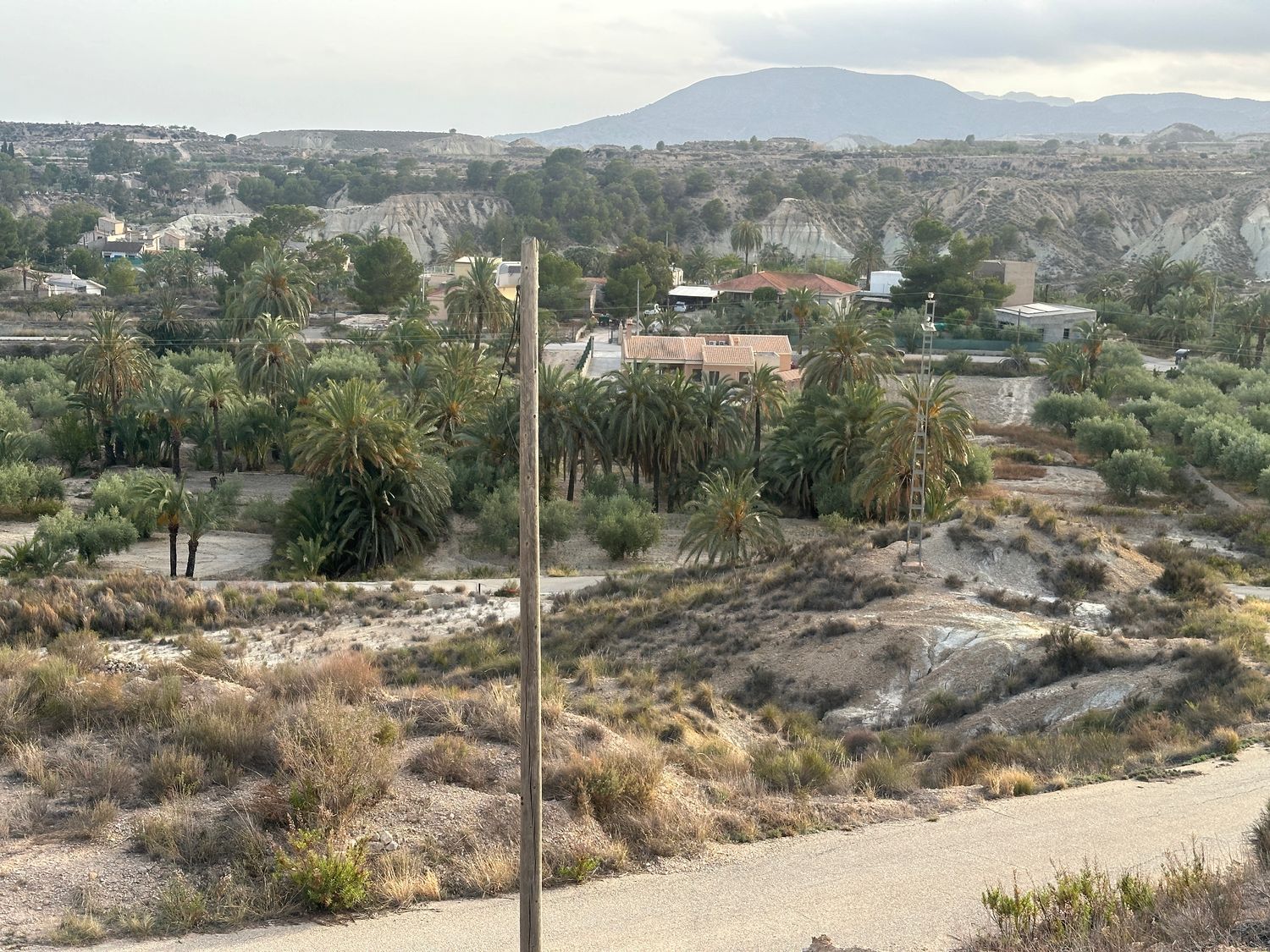 Finca rústica en Diseminado Paraje Salado Bajo, 14 - Foto 8