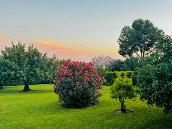Piso en Camino Cortes, 20, Guadalmina Alta - Foto 40
