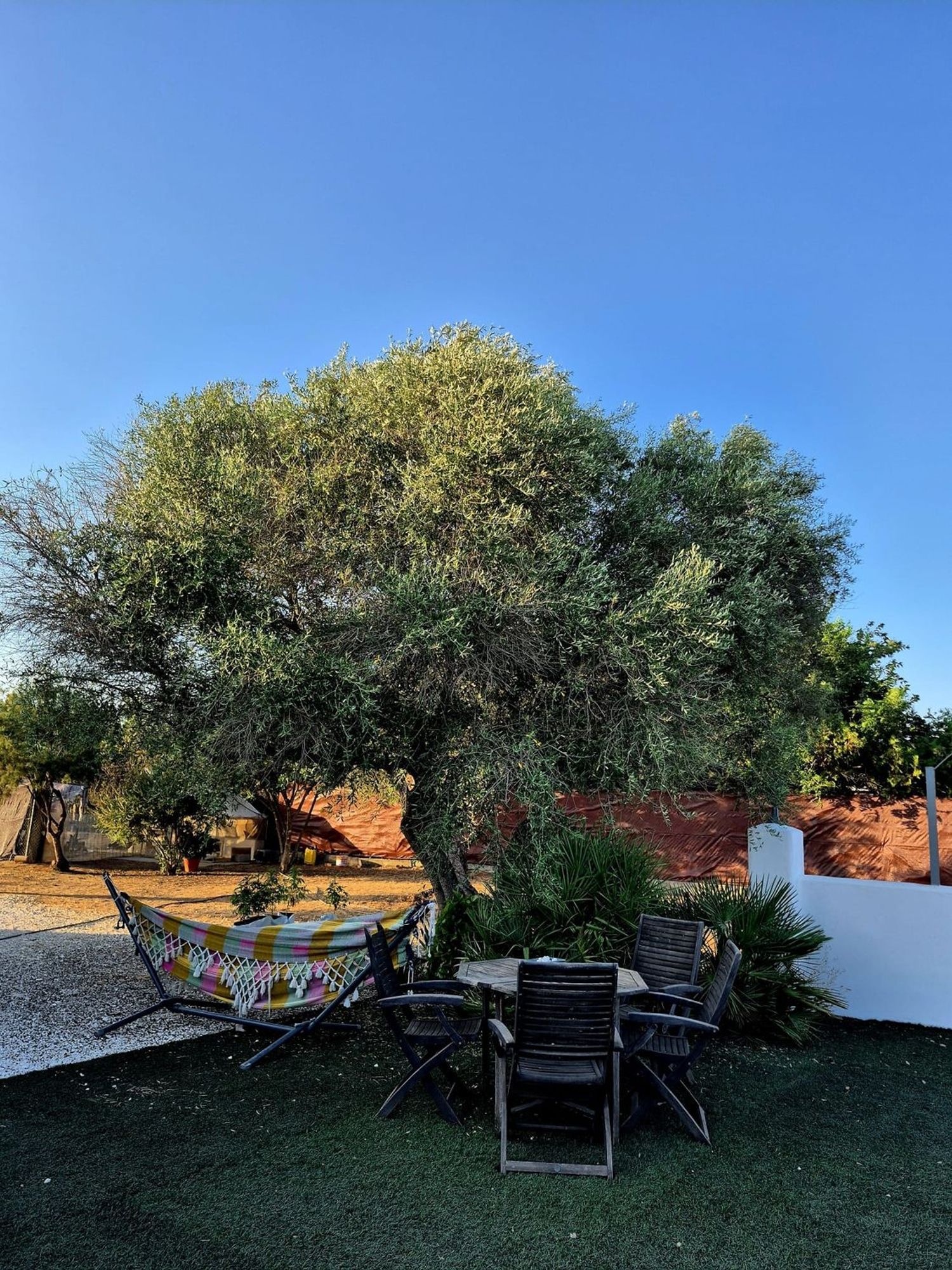 Finca rústica en Coria del Río - Foto 16