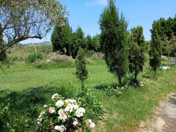 Masía en Masía en Camino salva-aigües, 96, Urbanizaciones, Urbanizaciones - Foto 22