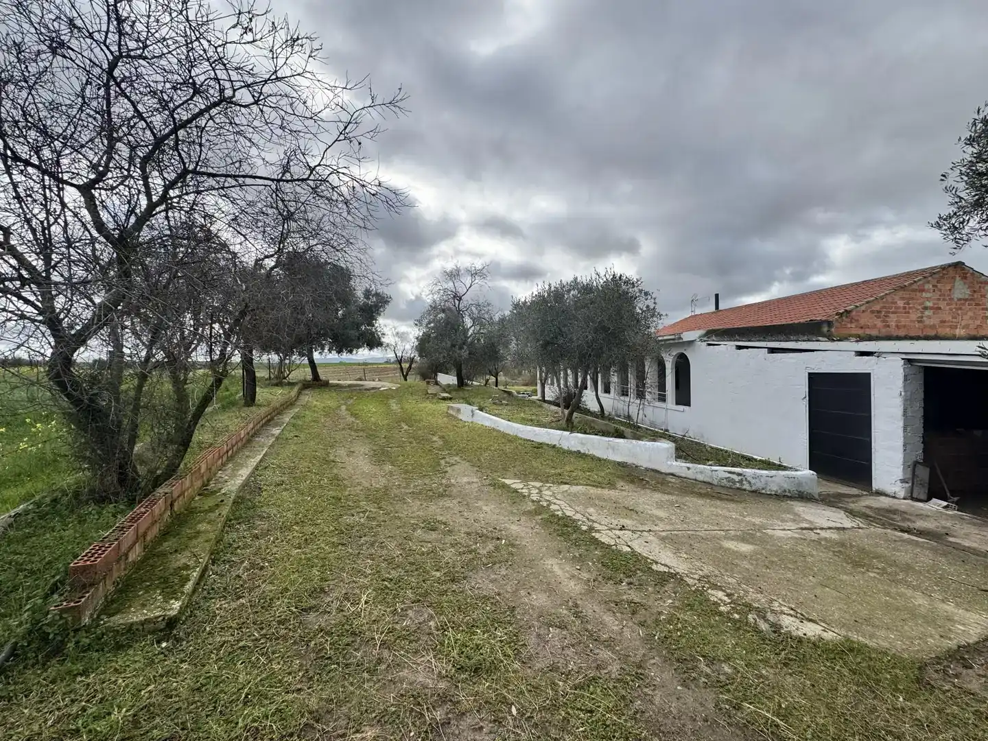 Finca rústica en  Avenida de la Constitución 11 - Foto 5