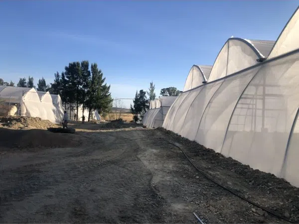 Finca rústica en Carretera de las Herrerías a Puebla de Guzmán s/n - Foto 6