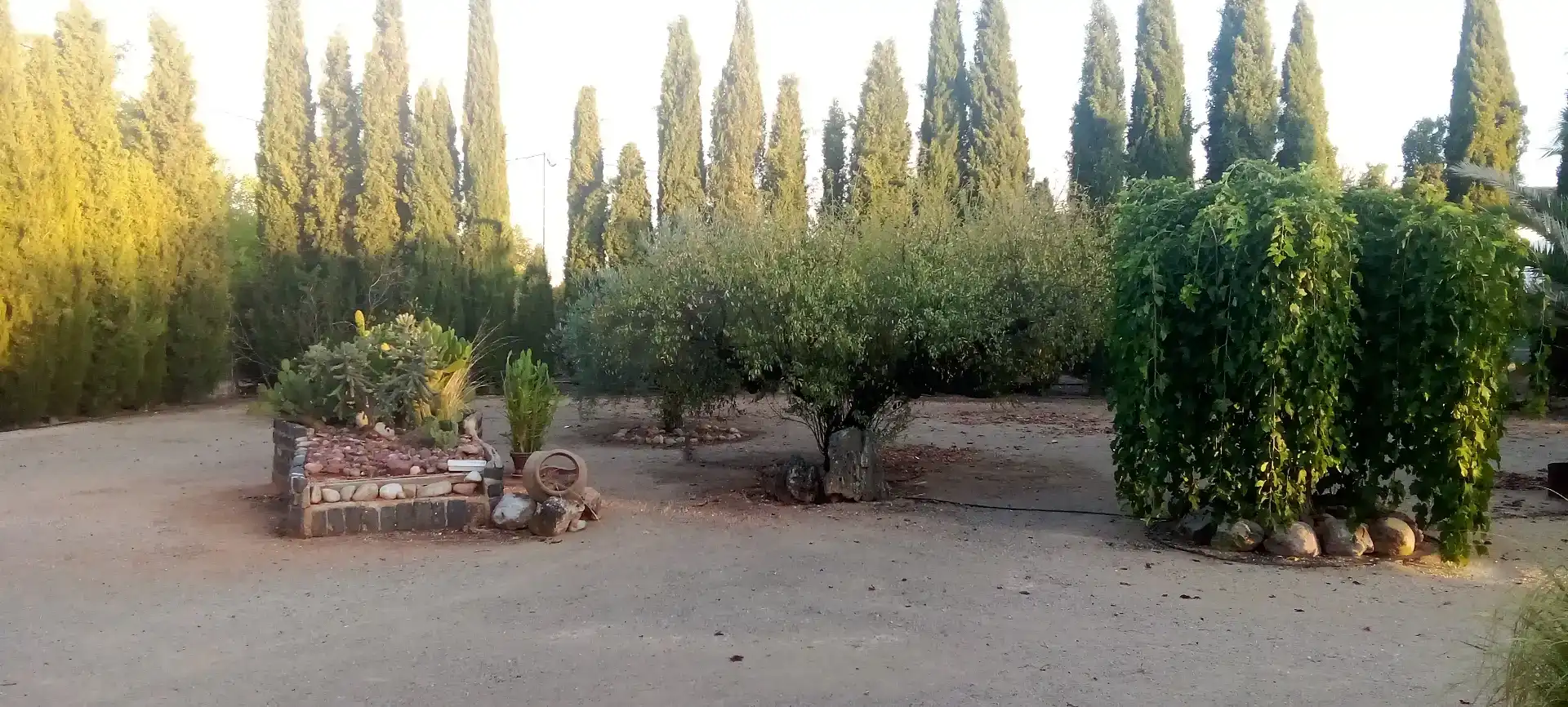 Finca rústica en  Calle Diseminados 1586 - Foto 4