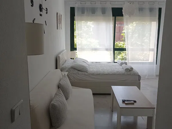 Estudio en Avenida Ricardo Soriano, 20, Ricardo Soriano - Foto 4