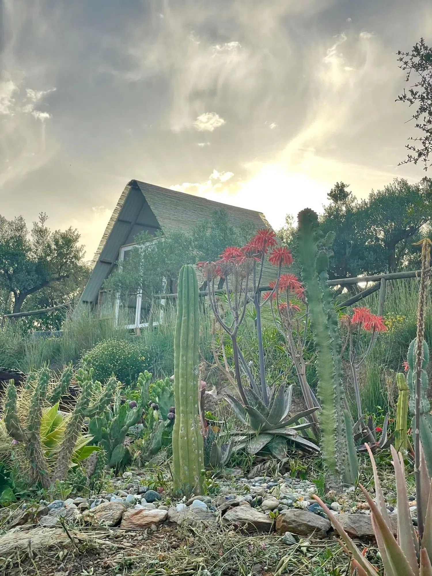 Casa rural en calle Olías, 1 - Foto 4