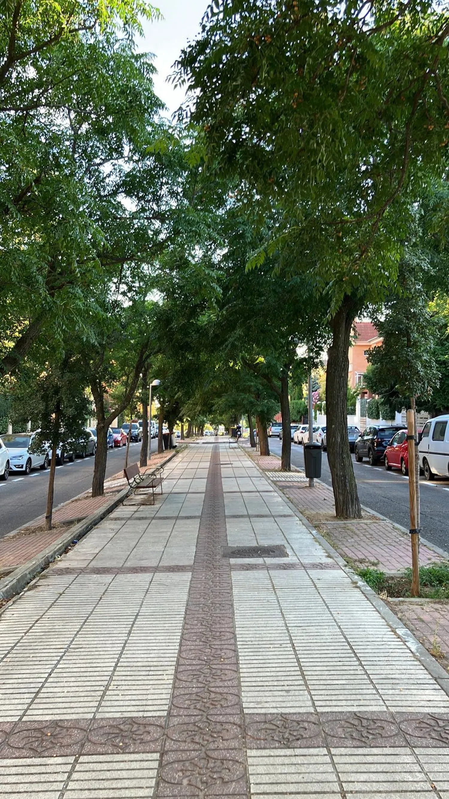 Piso en calle Duquesa de Castrejón, 8 - Foto 12