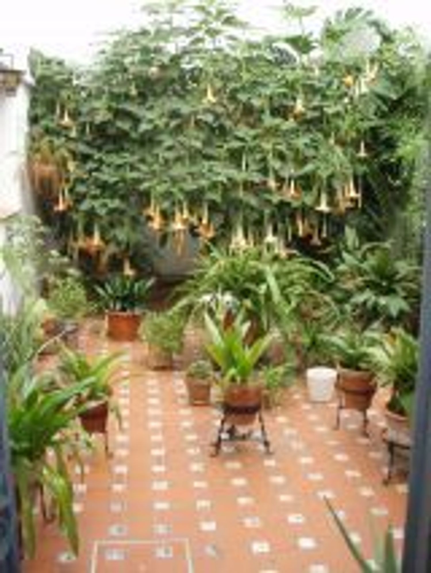 Piso en Calle Jáuregui, 8, Puerta Carmona-Puerta Osario-Amador de los Ríos - Foto 8