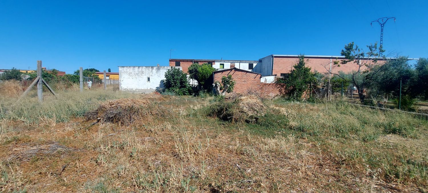 Finca rústica en Urbanización la Morena s/n, Patrocinio - Nueva Talavera, Patrocinio - Nueva Talavera - Foto 3