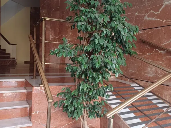 Piso en calle Monte Carmelo, 25 - Foto 1