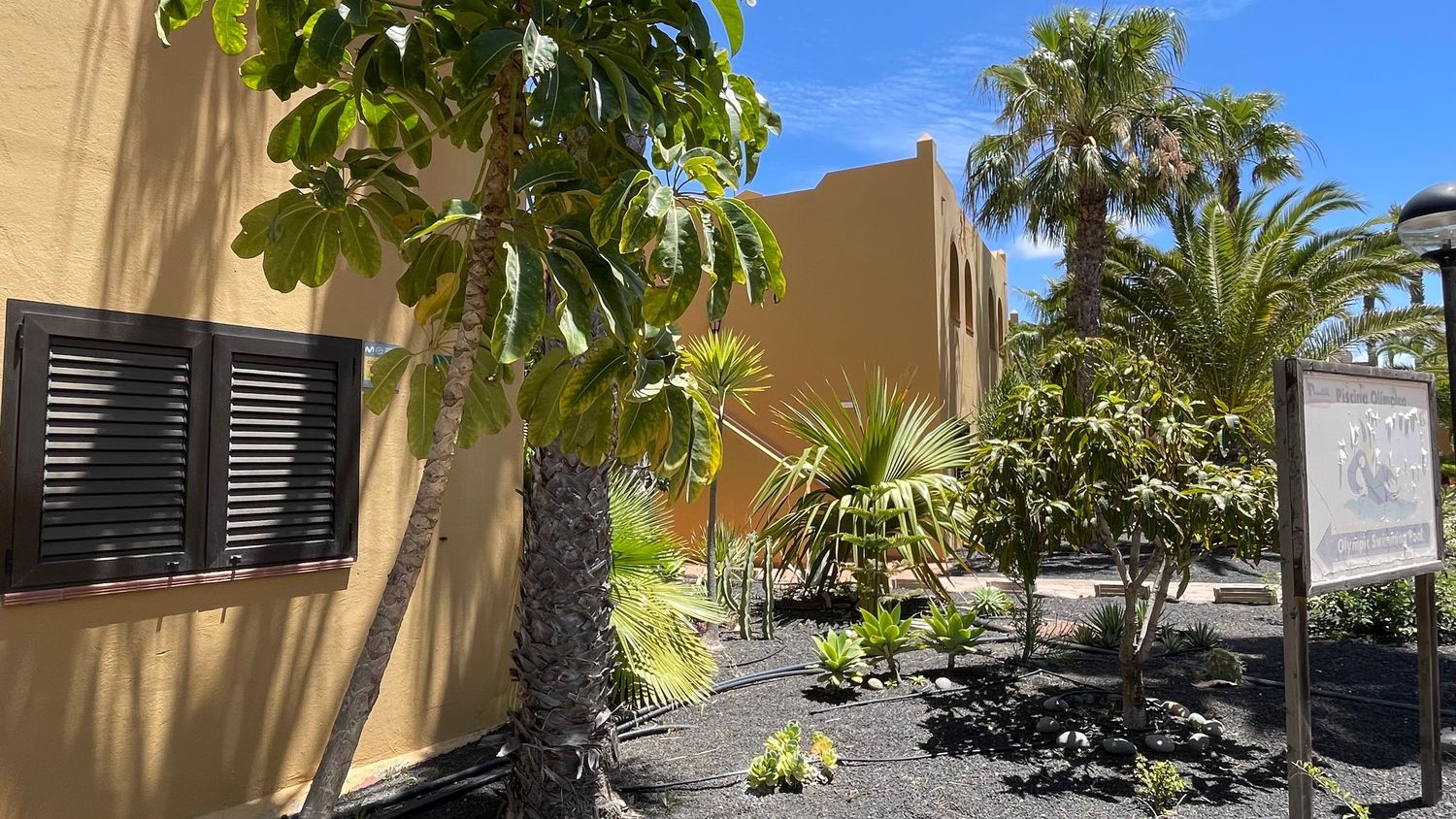 Estudio en Calle Pedro y Guy Vandaele, 19, Corralejo, La Oliva - Foto 16