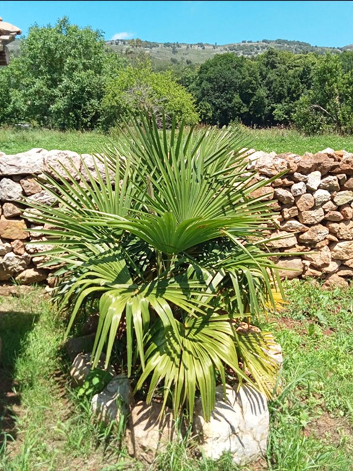 Casa rural en Barrio Somarriba, 8 - Foto 2