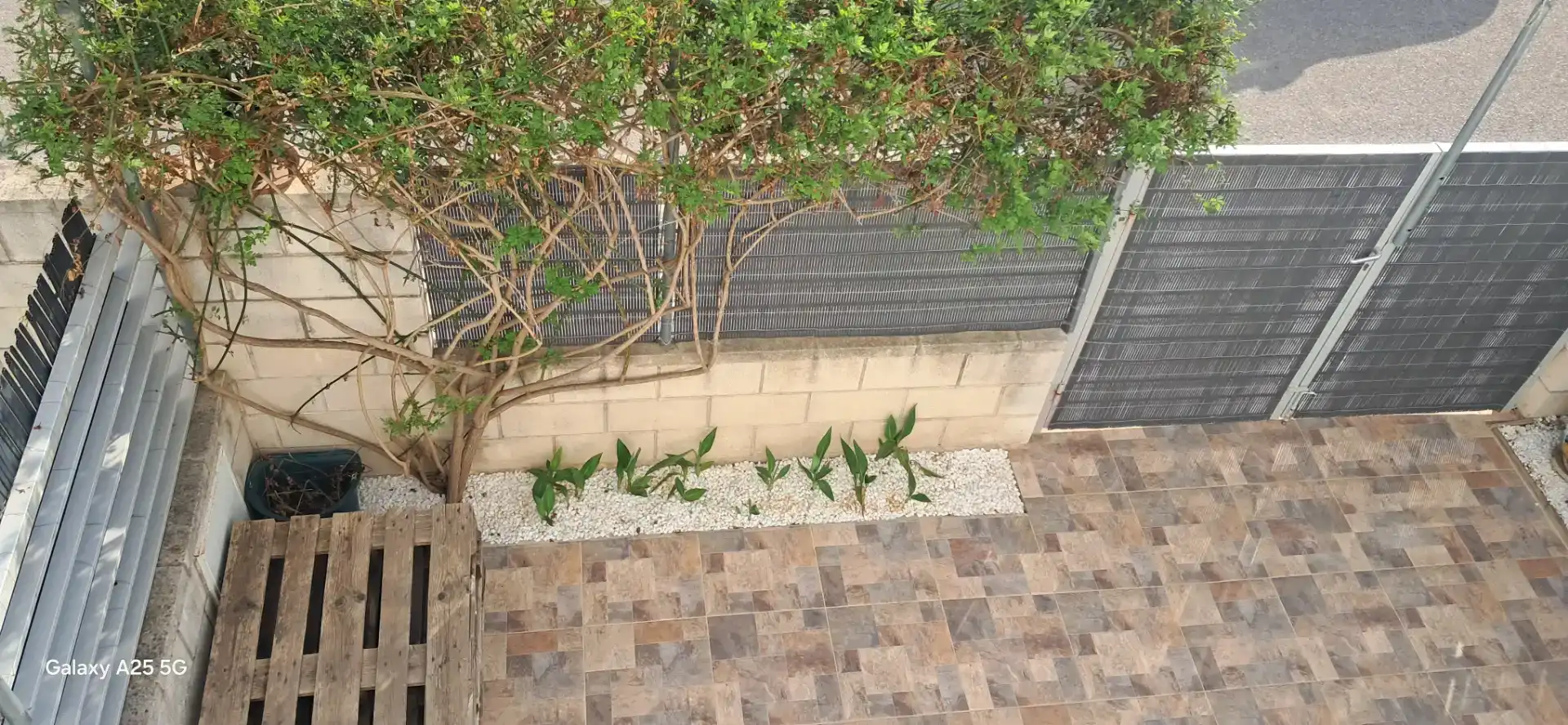 Piso en  Passeig de Poble Mar 14 - Foto 26
