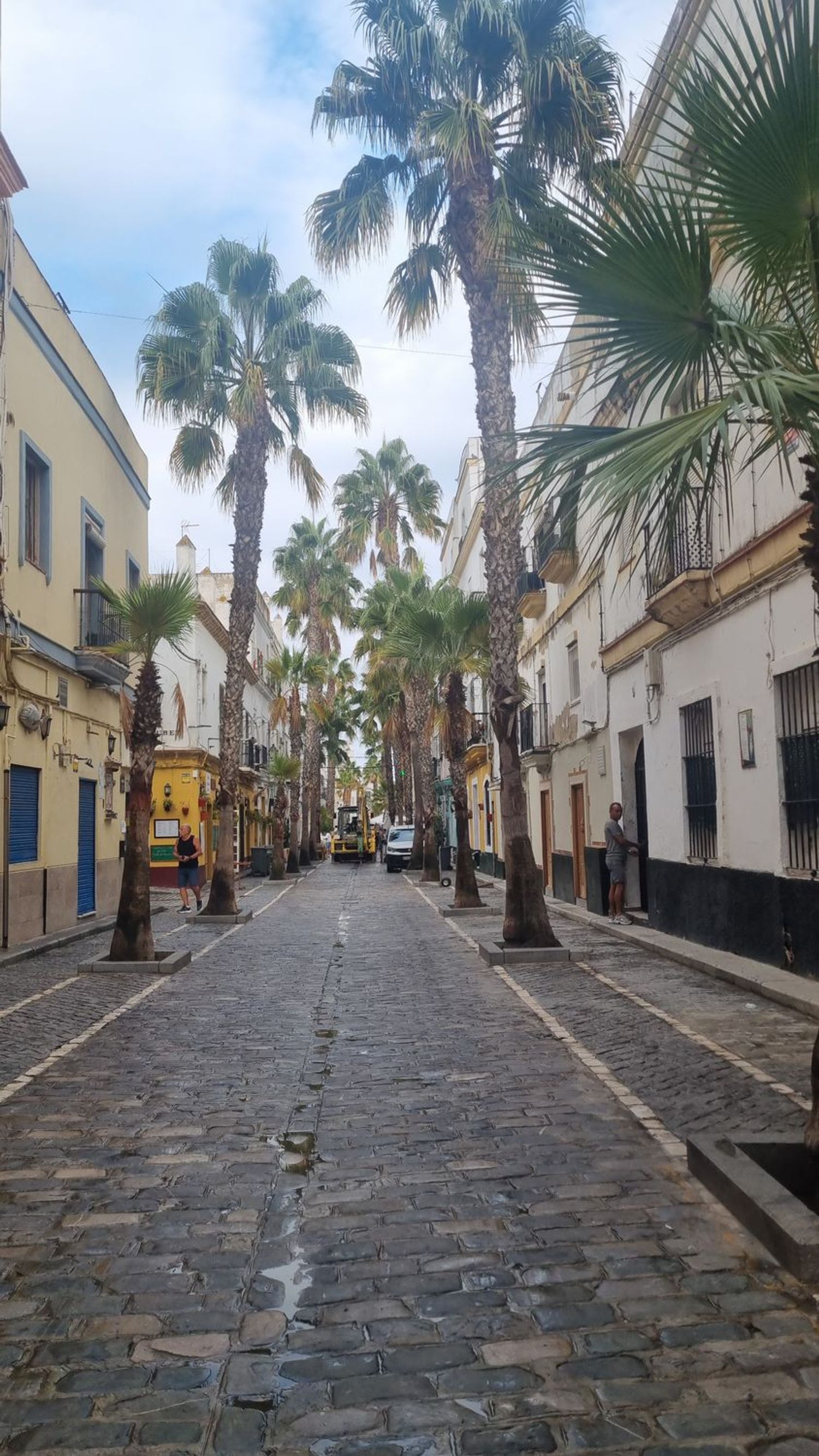 Piso en Calle Cardoso, 27, La Caleta - La Viña, La Caleta - La Viña - Foto 2