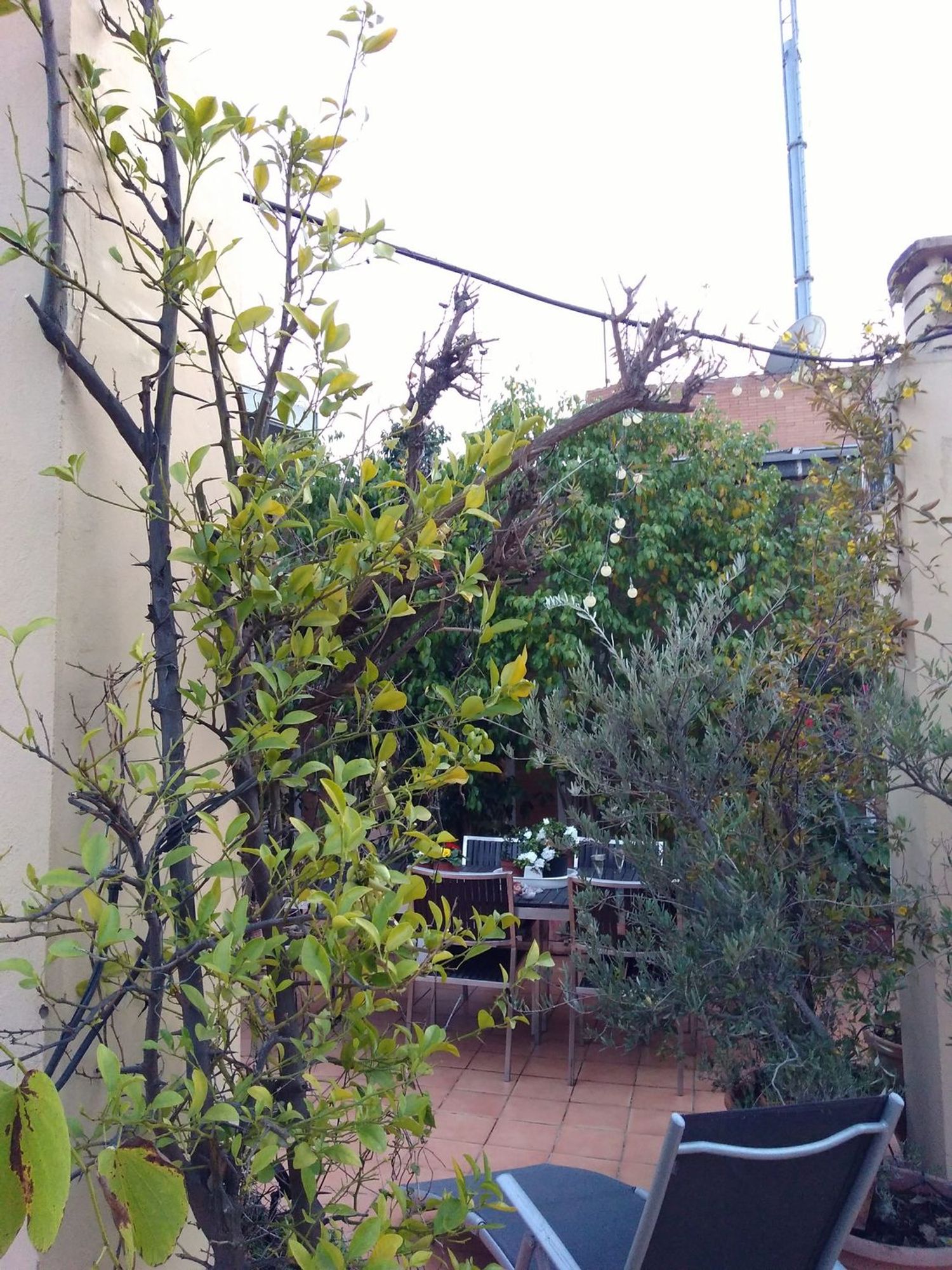 Ático en calle Rastro, 22 - Foto 5