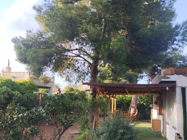 Casa o chalet independiente en Calle Pinaeta, 9 Parcela, Valterna, Valterna - Foto 3