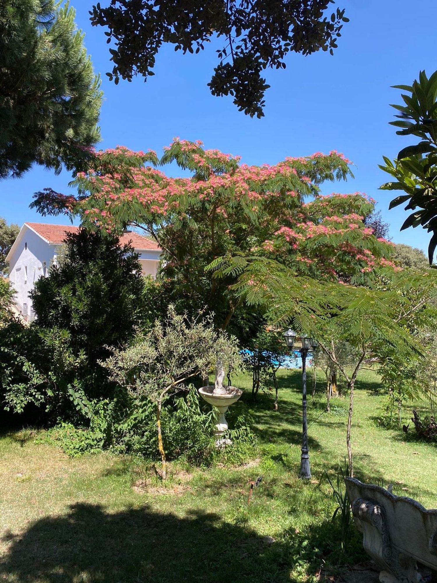 Finca rústica en Avenida de Constitución s/n - Foto 15