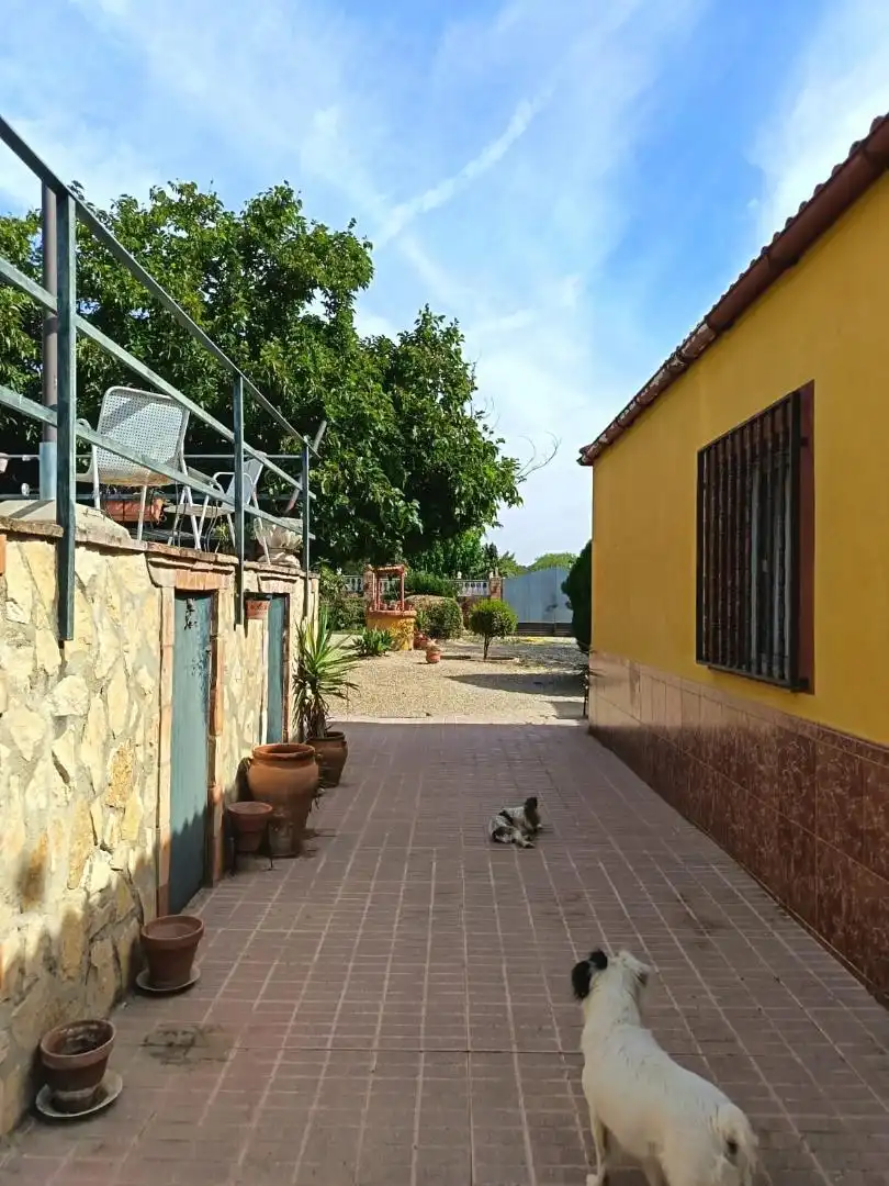 Finca rústica en  Urbanización las Encinas 2 - Foto 8
