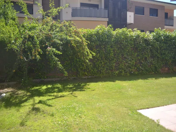 Piso en Avenida de la Oliva, 43, Golf - El Carralero, Golf - El Carralero - Foto 15