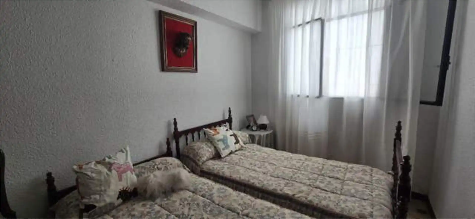 Piso en San Lorenzo - Foto 4