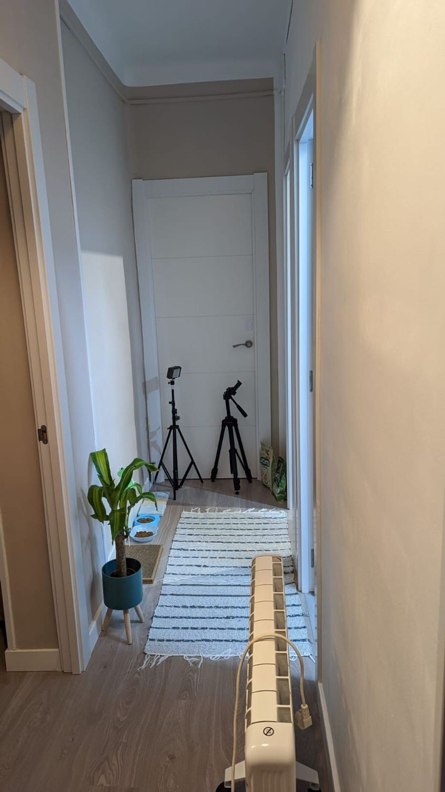 Piso en calle de la Verja, 44 - Foto 1