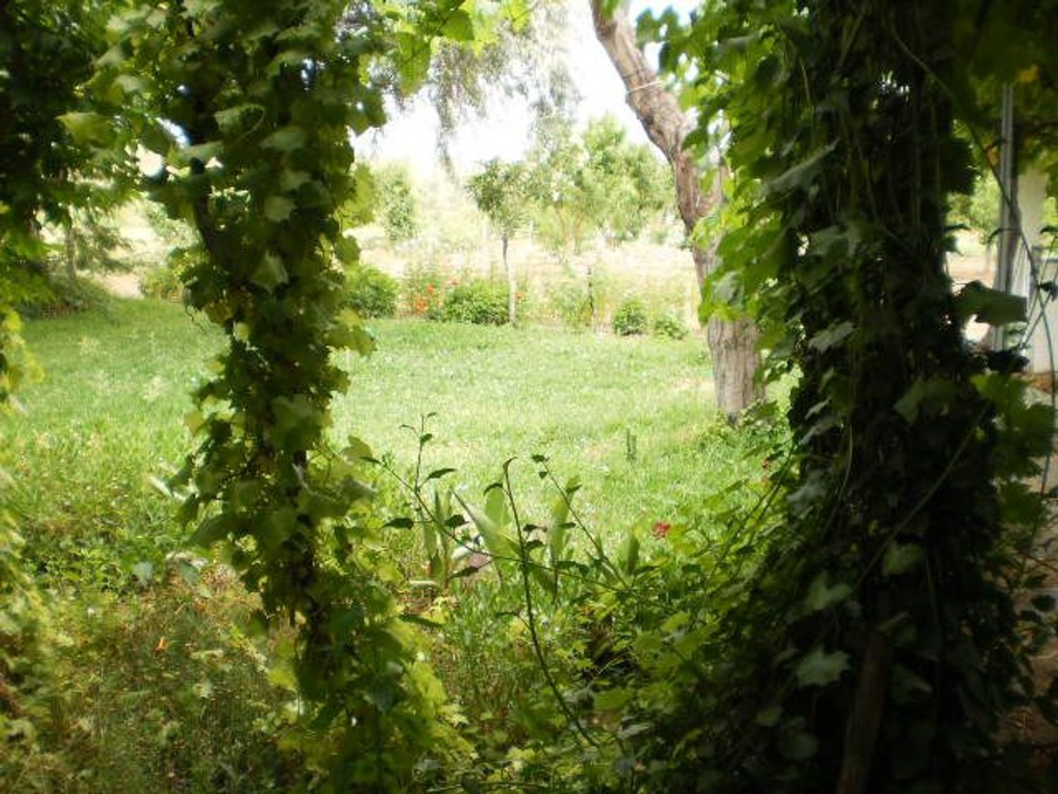 Cortijo en Ba-012 s/n - Foto 6