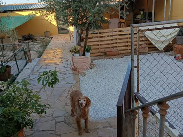 Chalet adosado en Plaza San Isidro, 4 - Foto 19