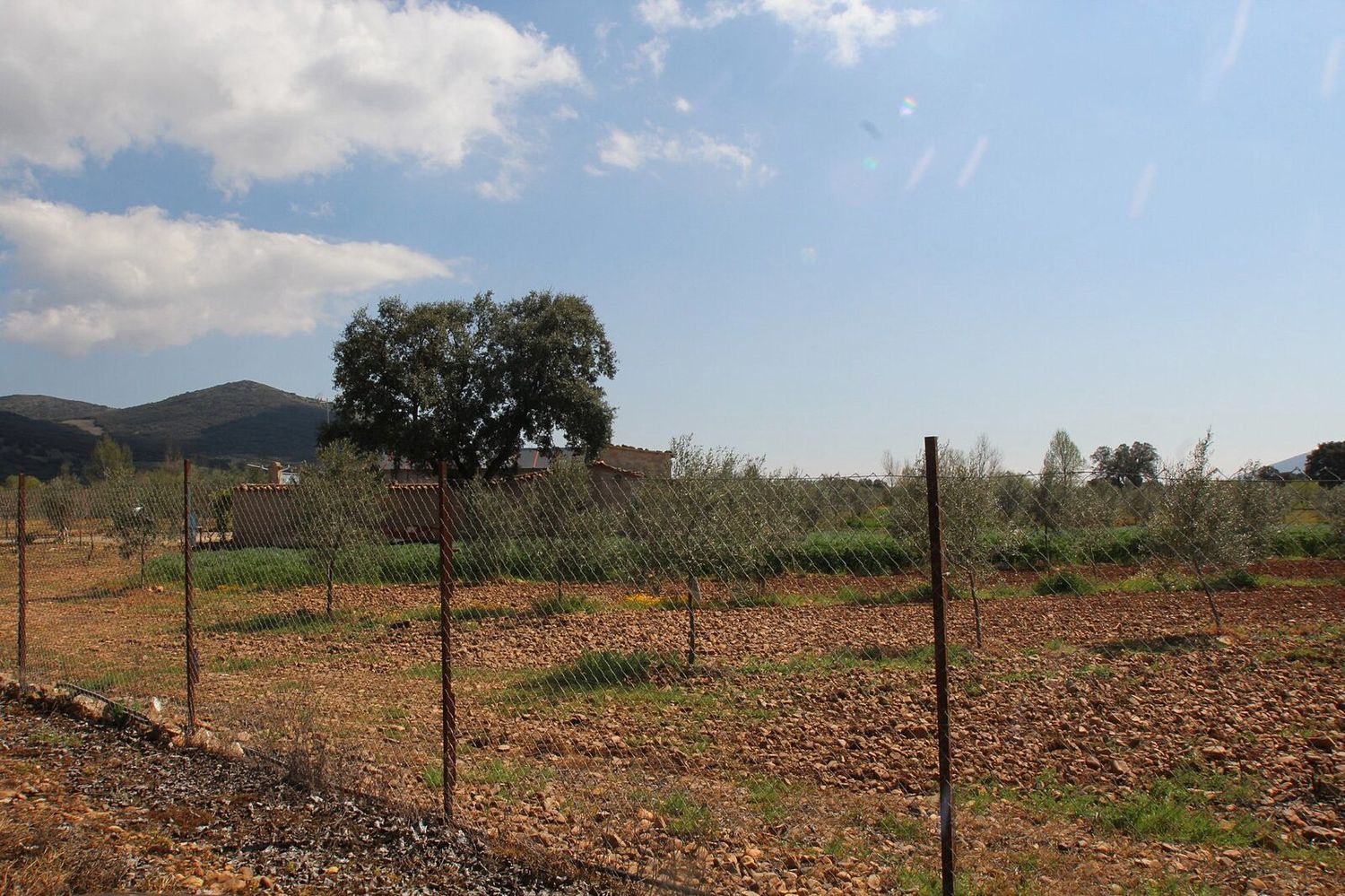 Finca rústica en Cr-7131, 1 km - Foto 4