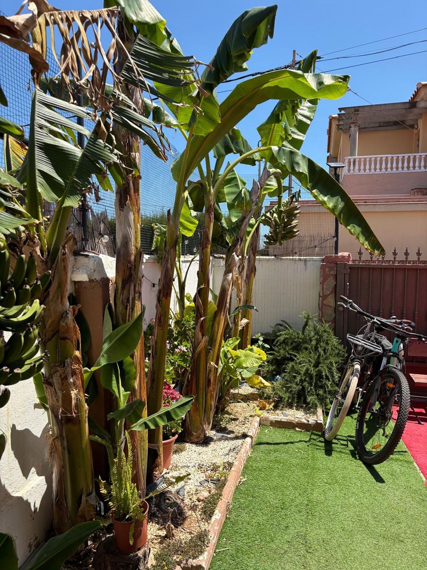 Casa o chalet independiente en Calle del Lliri, 20, Zona Boverals, Zona Boverals - Foto 8
