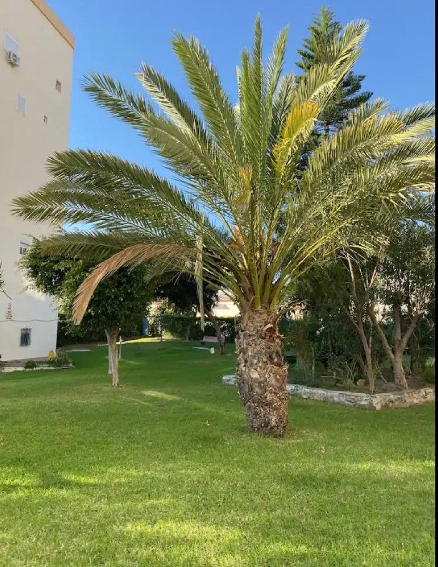 Estudio en calle Hermanos Álvarez Quintero, 1 - Foto 4