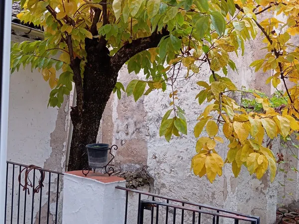Casa de pueblo en Calle Mariano Foronda, 20 - Foto 11