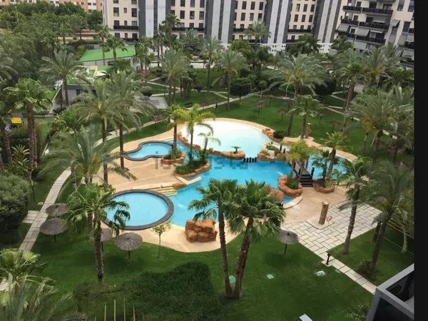 Piso en Historiador Vicente Ramos, 23 - Foto 7