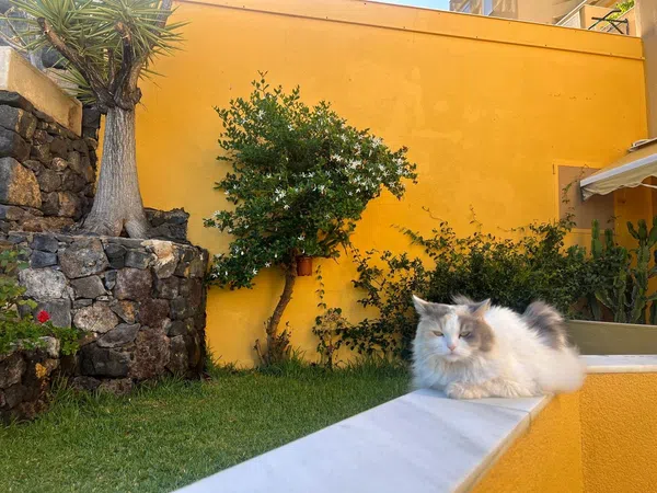 Piso en Calle Rubens Marichal López, 67 a, Ifara-Las Mimosas - Foto 13