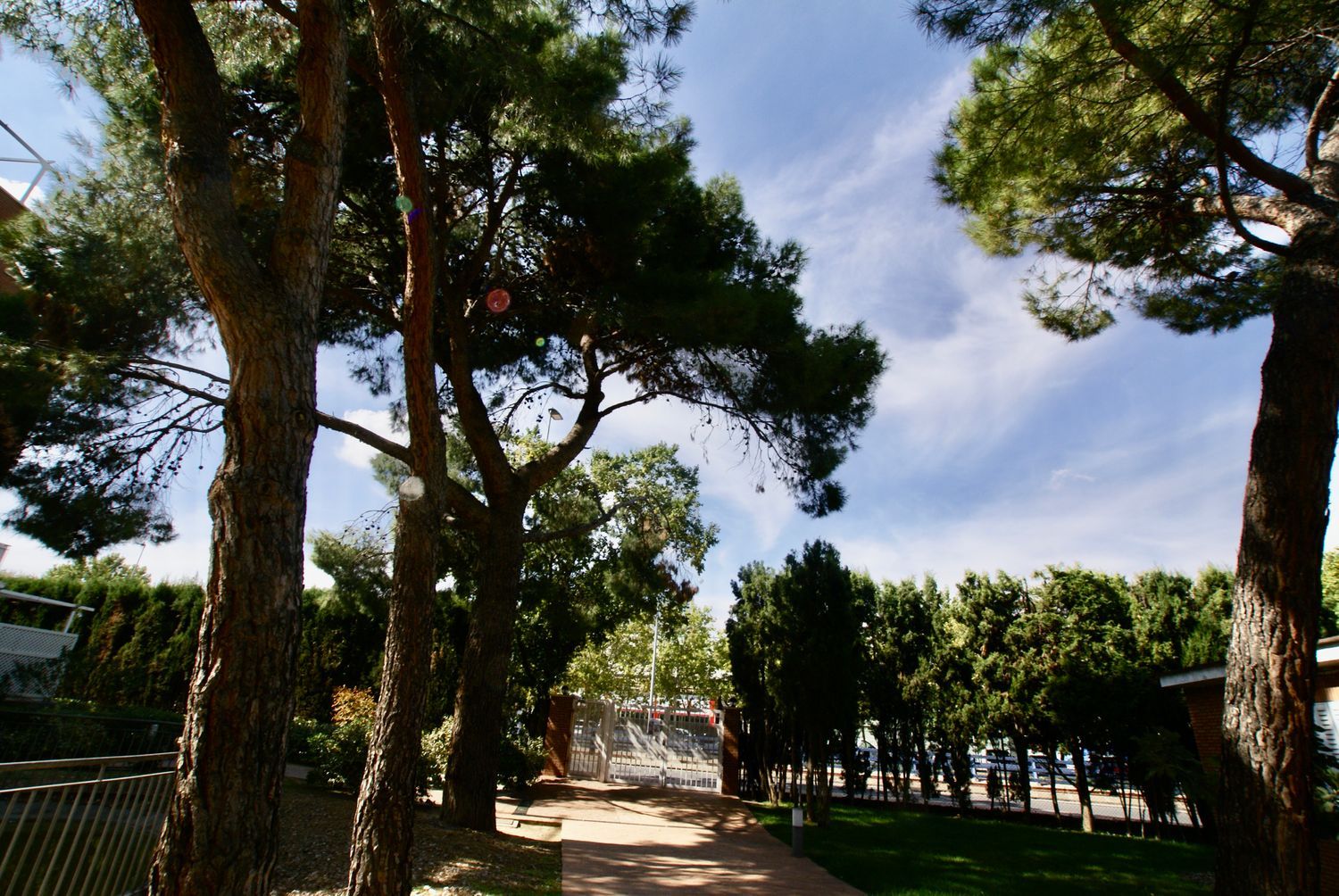 Piso en Via Complutense, 122 - Foto 15