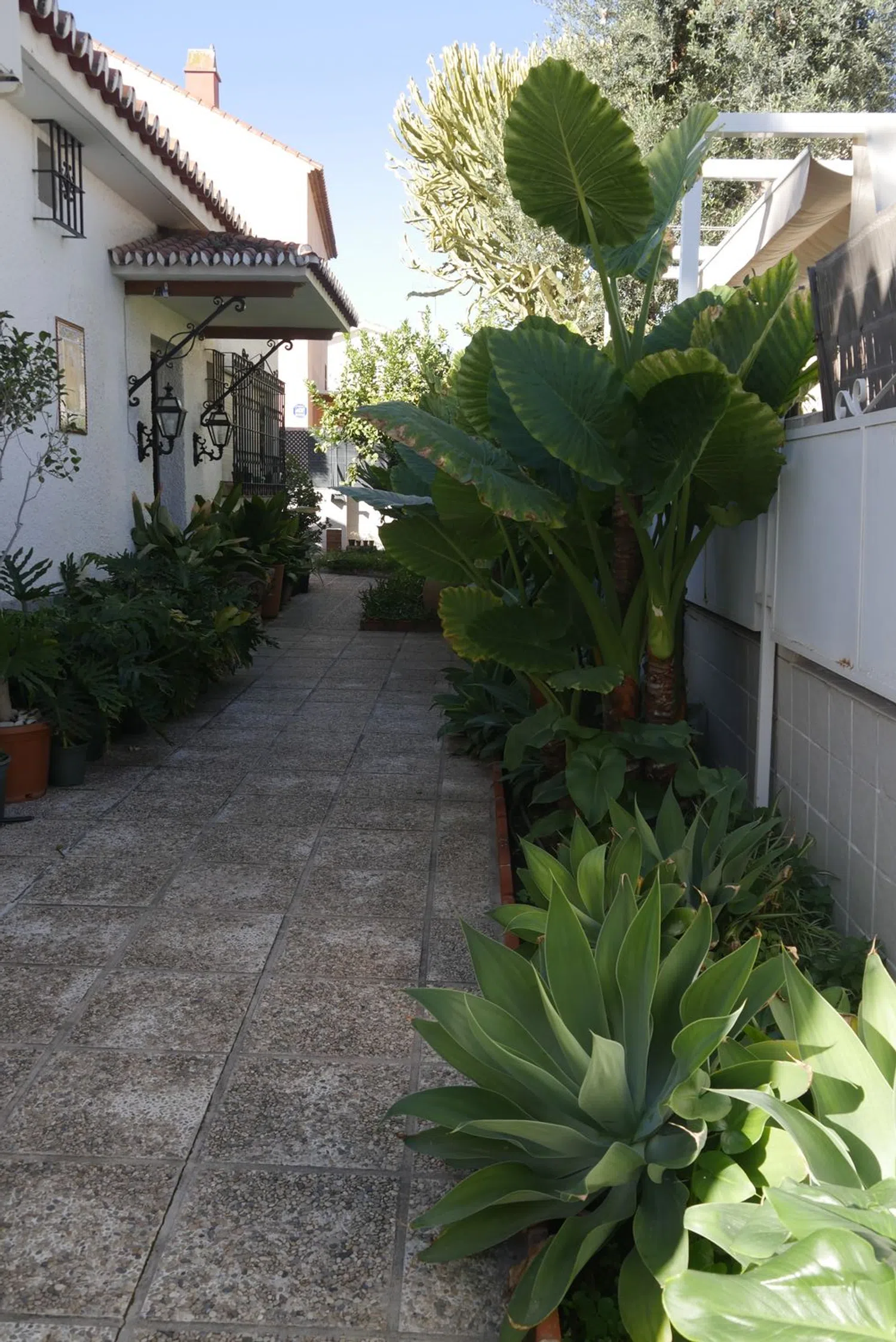 Casa independiente en calle Don Diego de Miranda, 6 - Foto 7