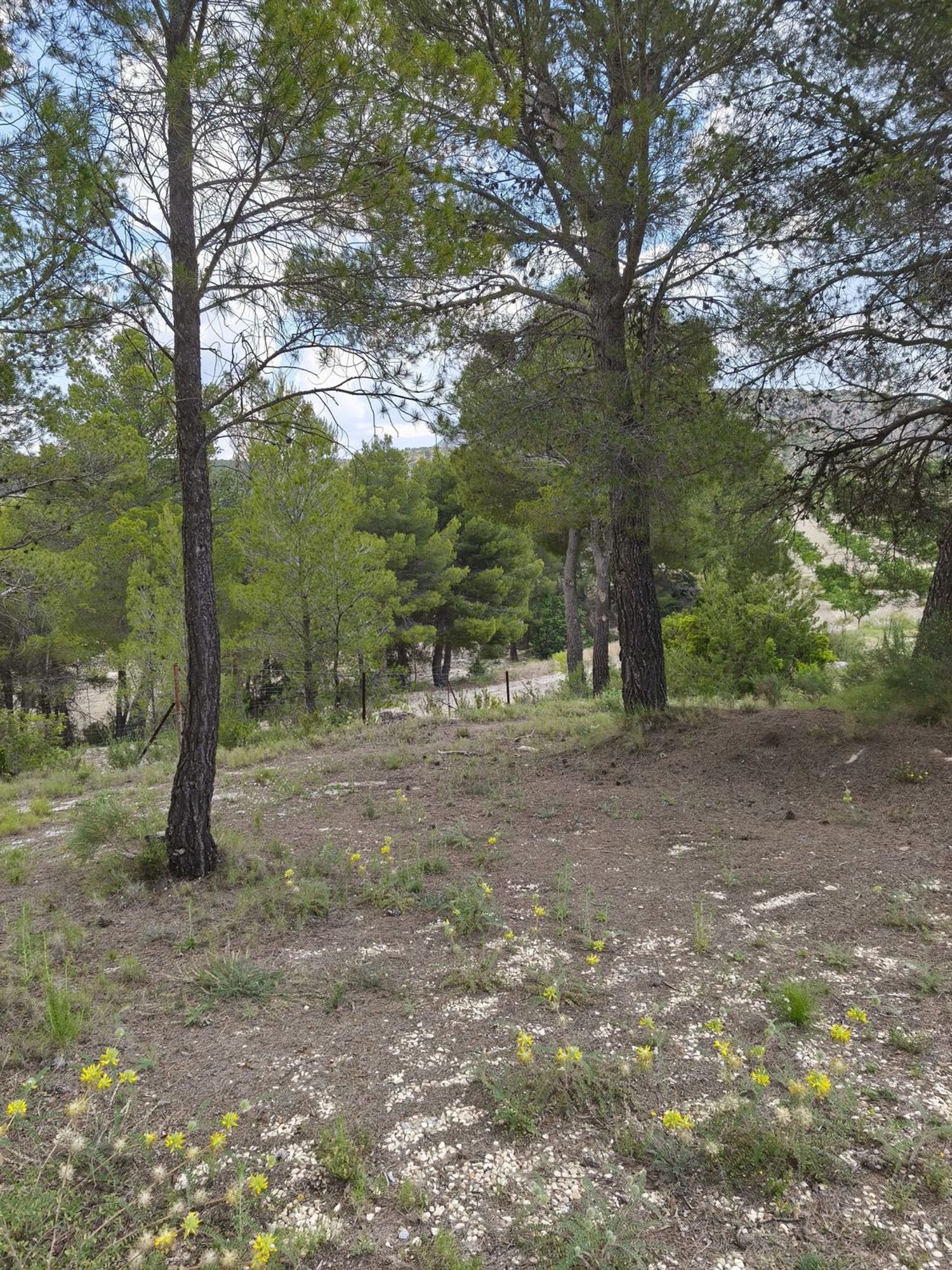 Cortijo en Carretera de la losa s/n - Foto 16