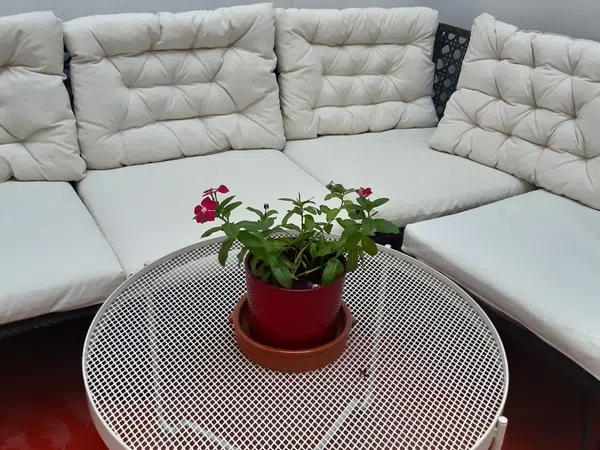 Piso en Osario, 1, Centro - Foto 6
