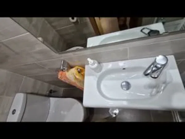 Casa de pueblo en Calle Asensio, 17, Barrios periféricos - Pedanías, Barrios periféricos - Pedanías - Foto 6